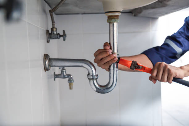 Best Local Plumber Services  in Ceres, CA